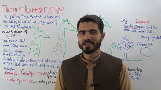 L3 Biology ii Theory of Lamarckism Use and disuse of organs Lecture 3 by Dr A Hadi [upl. by Llij]