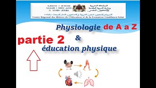 physiologie en EPS de A a Z  les filières énergétique partie 2 [upl. by Rezal825]