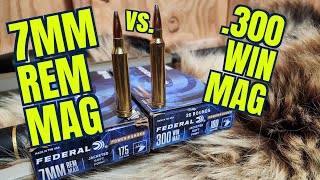 7mm Remington Magnum vs 300 Winchester Magnum Federal Powershok [upl. by Elo]