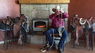 Using a Bosal Hackamore vs a Snaffle on Young Horses By Bill Oliver [upl. by Lennaj110]