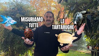 MISURIAMO TUTTE le TARTARUGHE prima del LETARGO  QUALCHE PESCE BONUS [upl. by Annas]