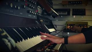 Binson Echorec 2  Minimoog D  Shine on you crazy Diamond part VI [upl. by Ayidan584]