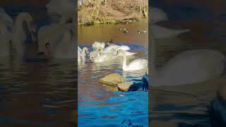 Holyrood park at Edinburgh Scotland 🏴󠁧󠁢󠁳󠁣󠁴󠁿 [upl. by Gaby]