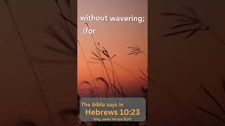 Hebrews 1023  Day240  Daily Bible Scripture [upl. by Pruchno]