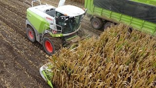 Claas mit neuer MaisErntetechnik [upl. by Rhodie449]