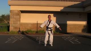 Hapkido Forms Wai Ki Hyung Sae [upl. by Webber]