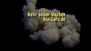 Kefir und was man damit machen kann [upl. by Chandal]