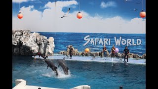 Dolphin Show at Safari World Thailand [upl. by Lorien988]