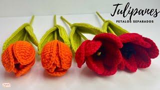 Tutorial Tulipanes Tejidos  Abiertos Y Cerrados  Pétalos Separados 💜Mayelin Ros [upl. by Sirred]