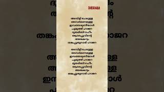 Beevi hajara song lyrics Ambili chelulla mappilappattu musicshorts [upl. by Aken]