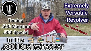 500 Bushwhacker Ammo Test 500 Special 🤠 And 500 SampW Magnum🔥 [upl. by Taylor]