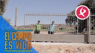 Los Mellis nos vuelven a abrir las puertas de su finca  El campo es vida [upl. by Ennylcaj515]