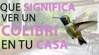 QUE SIGNIFICA VER UN COLIBRI [upl. by Ainot]