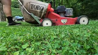 Mowing Day at Home  LawnBoy amp Toro Action [upl. by Enelec]