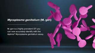 Mycoplasma genitalium [upl. by Rein]