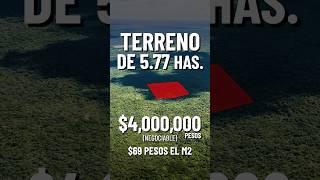 Terreno de 577 hectáreas 😱 57745 m2 para ese proyecto que anhelas🔥 [upl. by Humfried]