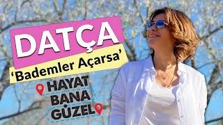 Şenay Akkurt ile Hayat Bana Güzel  Datça Badem Çiçeği Festivali  Datça Rehberi [upl. by Amzu]