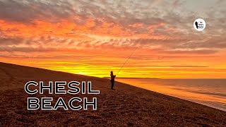 Beach Fishing Fish Every Cast Chesil [upl. by Karyn]