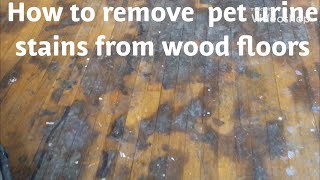 HOW TO REMOVE PET URINEWATER DAMAGE STAINS FROM WOOD FLOORS [upl. by Manny]