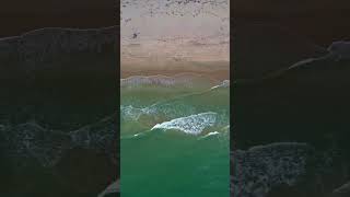 Waves crashing endlessly  Relaxing Drone Footage mini3pro floridabeaches palmbeachisland [upl. by Stewardson]