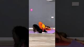 Yoga with Your Dog A Workout Full of Paws and Joy shorts [upl. by Nino]