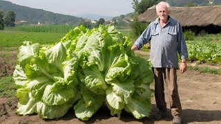 Kad OVO sipam u zemlju jesenska salata eksplodira od rasta [upl. by Pearce]