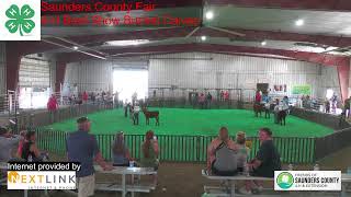 Saunders County Fair Beef Show 2024 [upl. by Ezeerb]