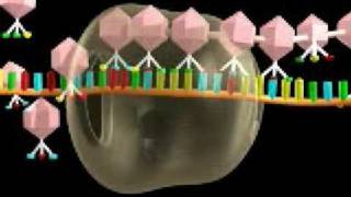 DNA transcription [upl. by Hance]