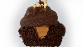 Chocolate Peanut Butter Cupcake Recipe HOW TO COOK THAT Ann Reardon [upl. by Sage]