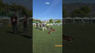 CAT 3  ITA  Diego Corradini amp Oural part 1 [upl. by Ylicis819]