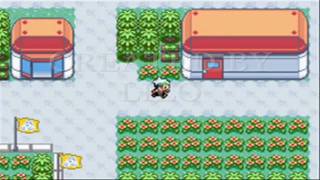 How to find Sudowoodo on Pokemon Emerald 720p HD [upl. by Nicola]