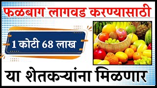 या शेतकऱ्यांना फळबाग लागवड करण्यासाठी 1 कोटी 68 लाख निधी मंजूर  Bhausaheb Fundkar Falbag Yojana [upl. by Seebeck]