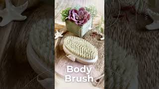 Body Brush [upl. by Gunner]