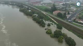 Rovigo fiume Po in piena allagate le aree golenali [upl. by Rola]