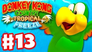 Donkey Kong Country Tropical Freeze  Gameplay Walkthrough Part 13  World 3 Squawks 100 [upl. by Chastity]