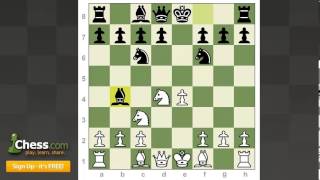 Chess Openings How to Play the Scotch Game [upl. by Assilla]