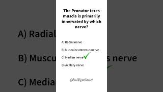 The Pronator teres muscle is primarily innervated by which nerve muscle [upl. by Yeniffit228]