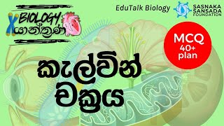 කැල්වින් චක්‍රය  Calvin Cycle  EduTalk Biology [upl. by Barber504]