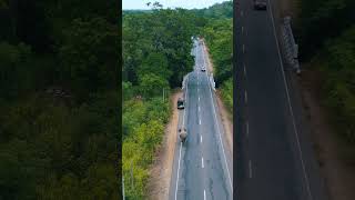 Elephant attack Habarana  Sri Lanka [upl. by Pegg892]