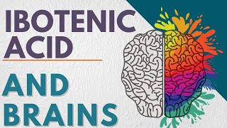 Ibotenic Acid And The Brain [upl. by Bay]