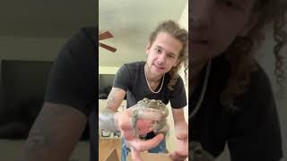 Unboxing backwater reptiles The Colorado river Toad [upl. by Piane]