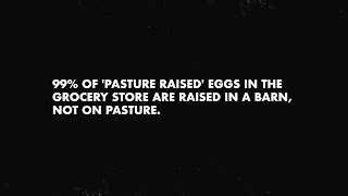 Let Us Show You Real Pasture Raised Eggs [upl. by Melquist]