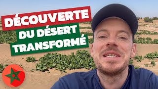 Voyage dans le désert marocain  VLOG de mon 40ème séjour avec Maroc en Conscience [upl. by Hamel]