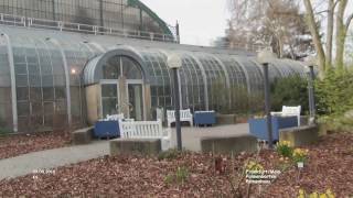 Palmenhaus  PalmenGarten  Frankfurt [upl. by Inavihs]