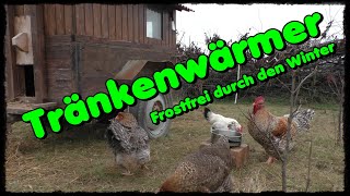 🐔Tränkenwärmer für Hühner 🥶 frostfreies Wasser im Winter 🐓 [upl. by Lekkim358]