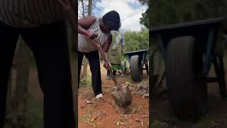 Planting an Erythrina Burttii Tree in Maanzoni 🌳  Nyambura Ngigi’s Journey  mmtreechallenge [upl. by Madaras]