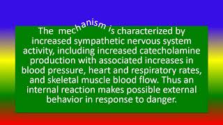 what is Cannon theory fight or flight response [upl. by Aryad717]