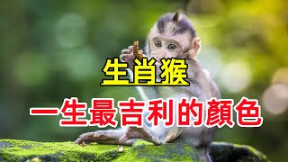 【生肖猴】一生「最吉利的顏色」屬猴人穿對衣服顏色，好運接二連三！ [upl. by Athalie]