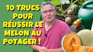 10 trucs pour réussir le melon au potager [upl. by Aiyekal]