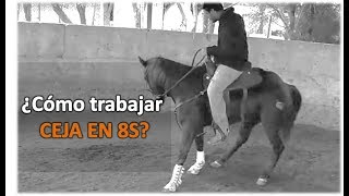 Arrendando Caballos  v23 ¿Cómo trabajar la Ceja en 8s [upl. by Wendelin]